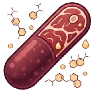 Bacteroides bacteria illustration