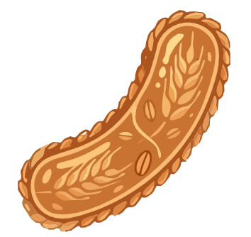 Prevotella bacteria illustration